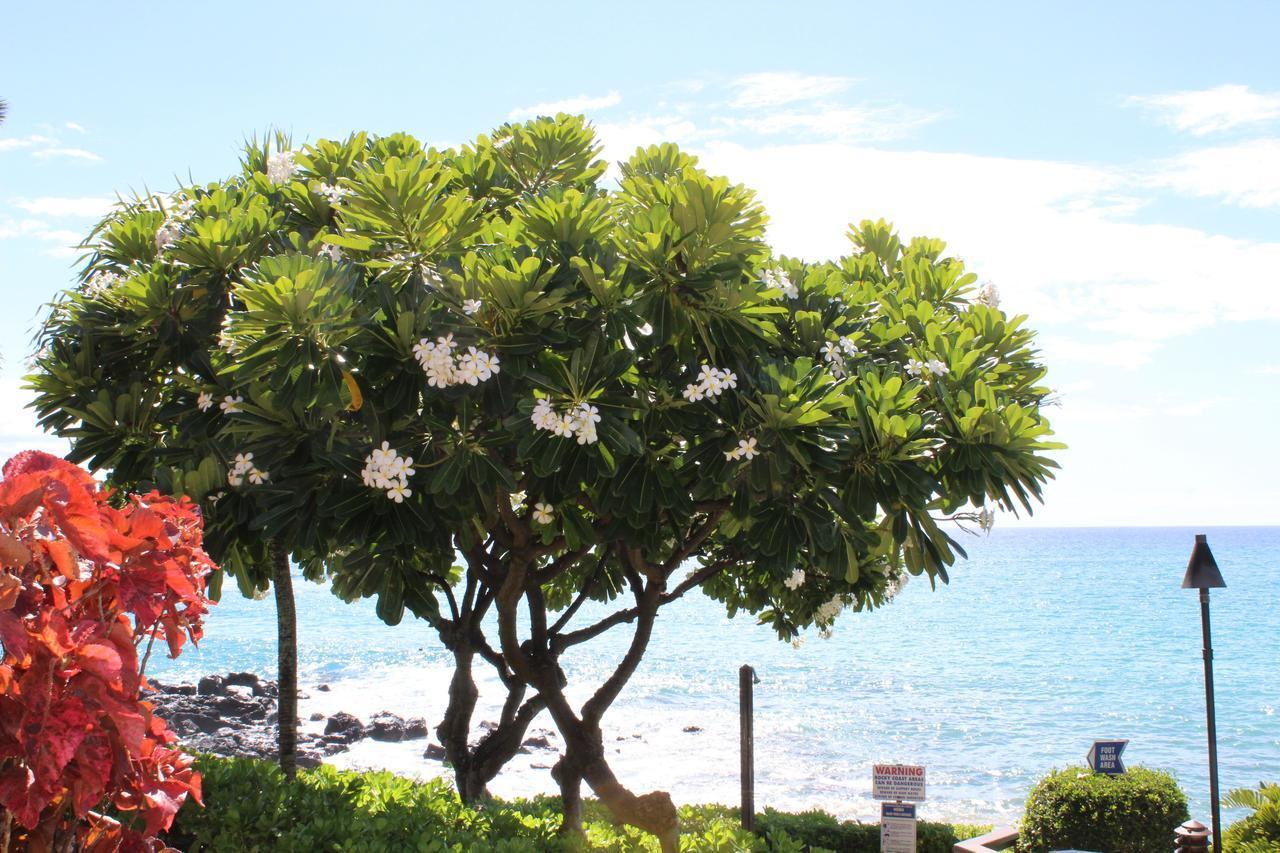Kuleana Resort 618 Lahaina Exteriör bild